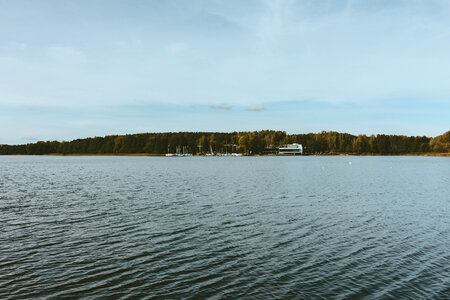 Wavy lake surrounded by forest 2 photo