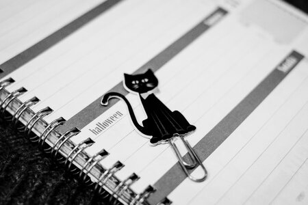 Black cat paperclip in a calendar photo