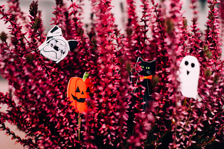 Halloween paperclips hidden in a heather flower