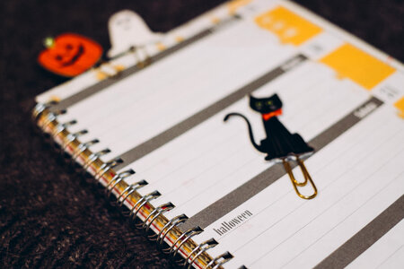 Black cat, a pumpkin and a ghost paperclips in a calendar photo
