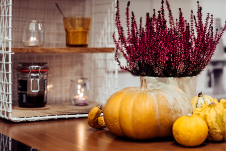 Halloween kitchen decoration 4 photo