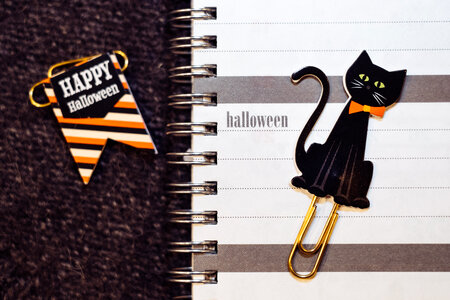 A black cat and Happy Halloween paperclips photo
