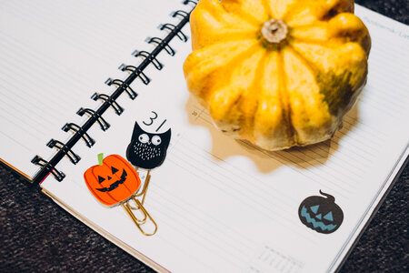 A pumpkin and an owl paperclips in a calendar photo