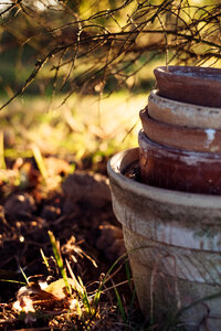 Old clay flower pots 2 photo