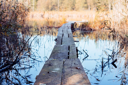 Small wooden pier at the lake photo