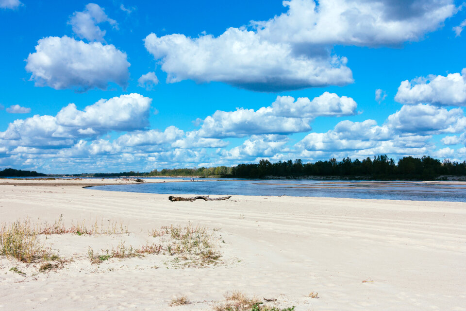 Sandy beach at the river