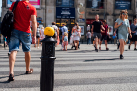 Pedestrian crossing 2 photo