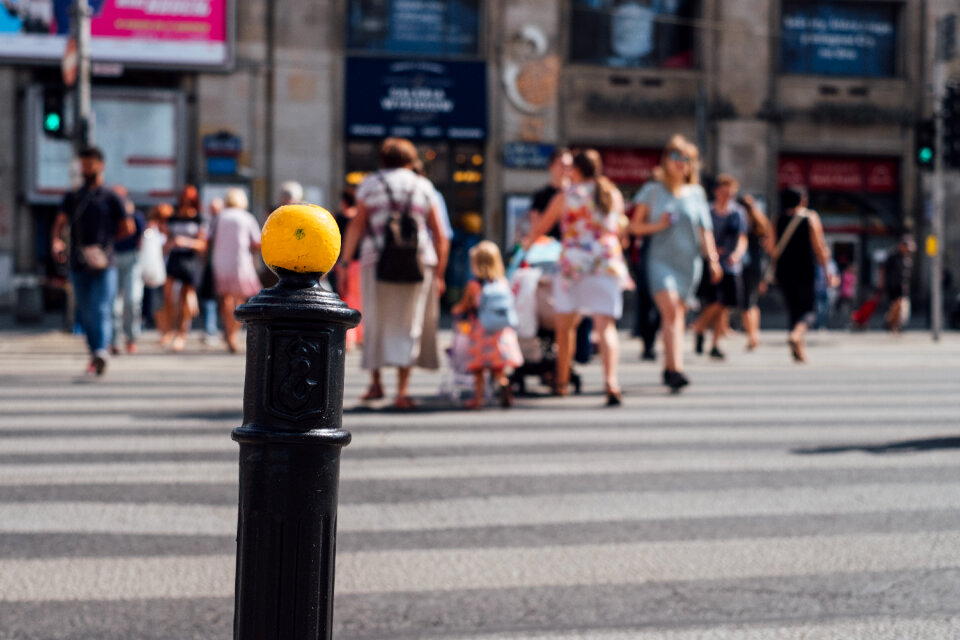 Pedestrian crossing photo