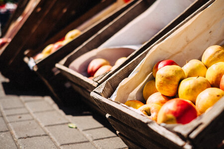 Apples in wooden boxes