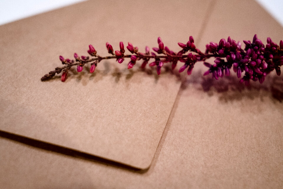 Craft envelope with dried flower closeup 2