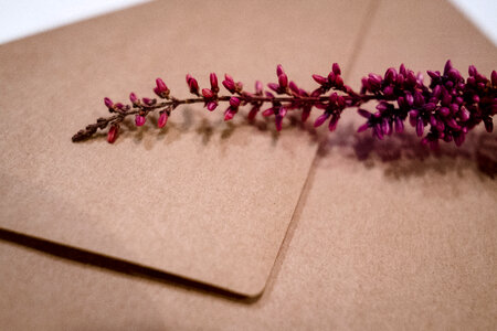 Craft envelope with dried flower closeup 2 photo