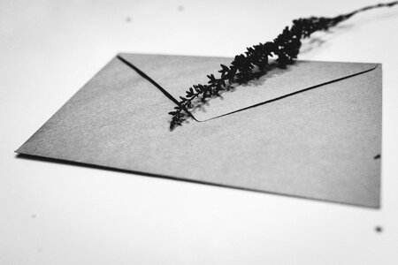 Craft envelope with dried flowers 2 photo