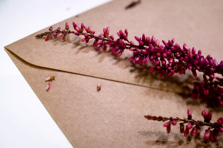 Craft envelope with dried flowers closeup photo