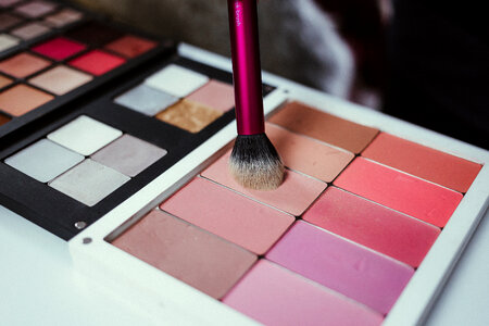 Blush palette and a brush photo