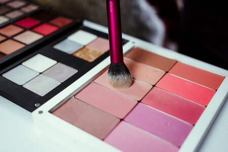 Blush palette and a brush