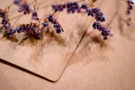 Craft envelope with dried flower closeup photo