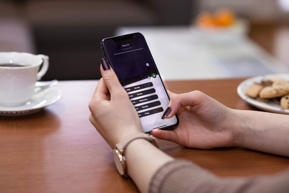 iPhone X in female hands 3