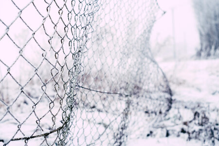 Frosted old net fence