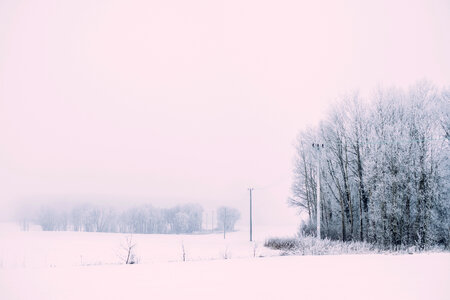 Foggy winter day in the field photo