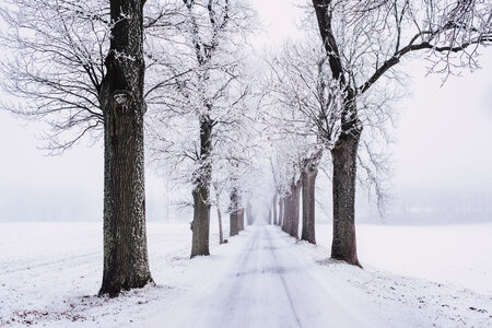 Snow covered road photo