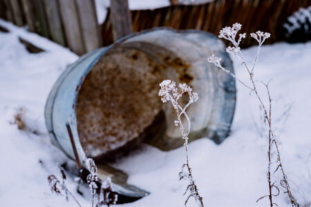 Frozen water in a rusted metal tub photo