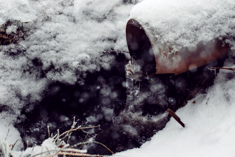 Icicles on a drainpipe