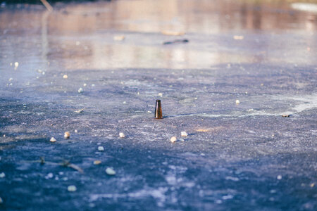 Beer bottle in a frozen pond photo