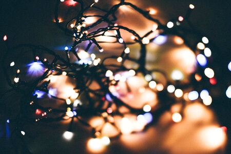 Tangled Christmas lights bokeh photo