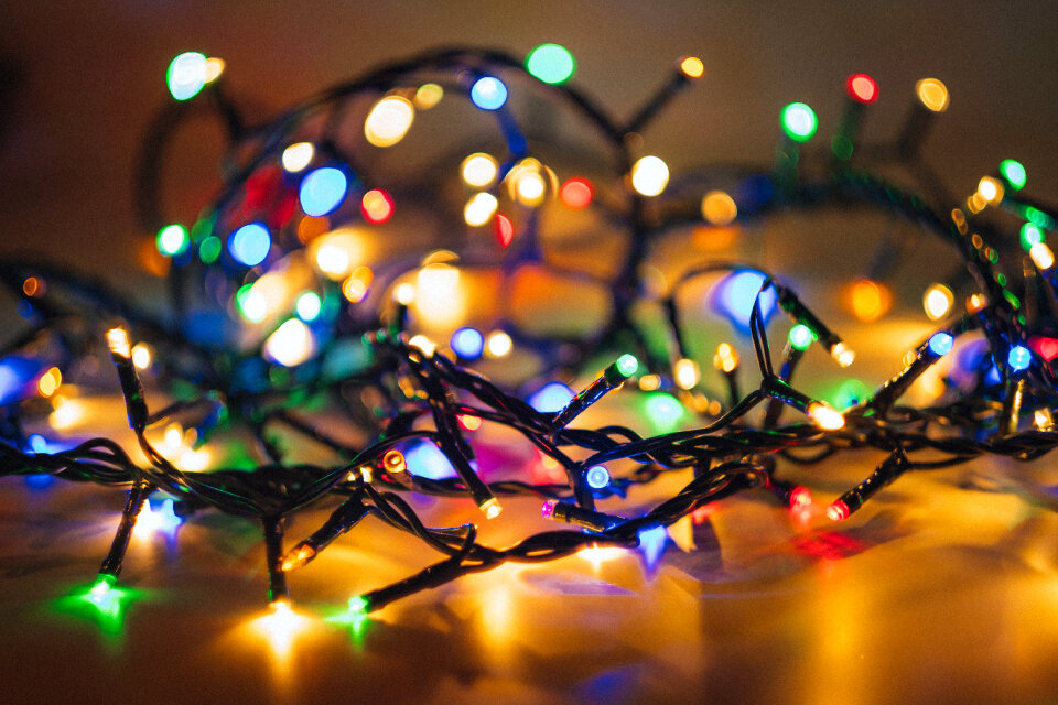 Tangled Christmas lights