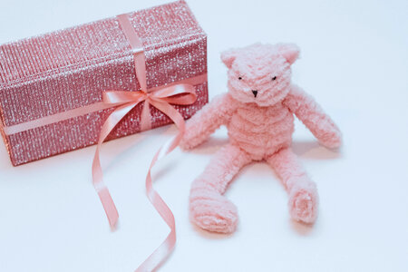 Pink teddy bear 2 photo