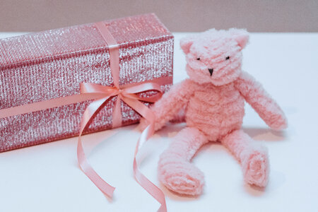Pink teddy bear photo