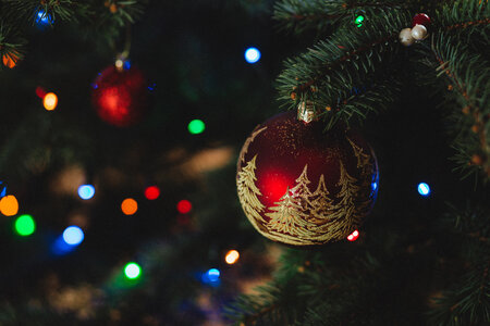 Red and gold bauble photo