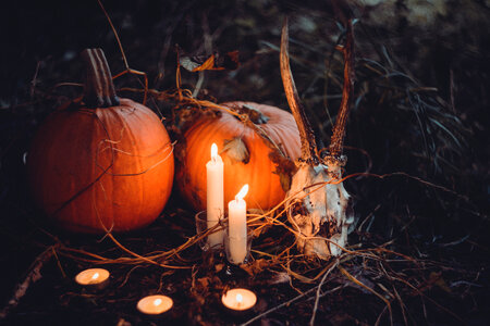 Spooky halloween decoration 2 photo