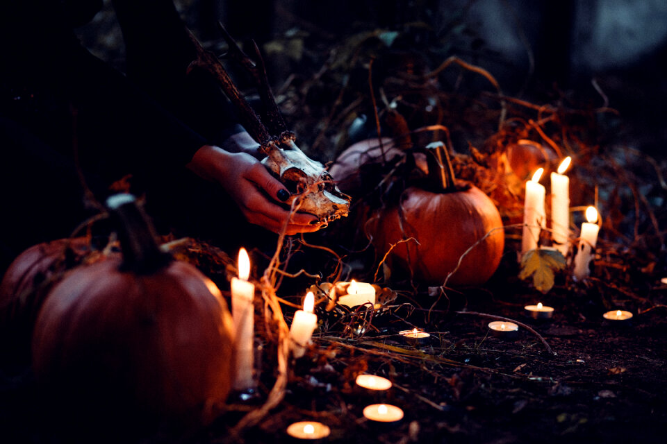 Spooky halloween scene 2