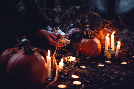Spooky halloween scene 2 photo