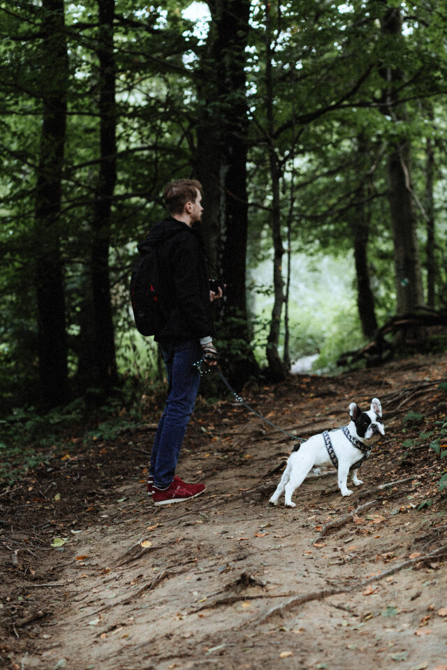 A trip in the mountains with a dog