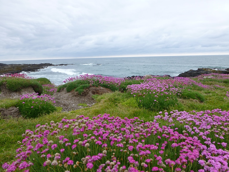 Yachats oregon pacific coast clouds