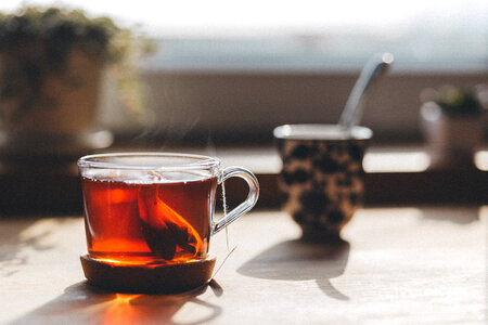 Tea on the countertop photo