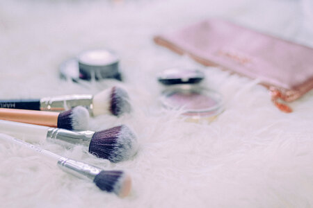 Makeup brushes and blush