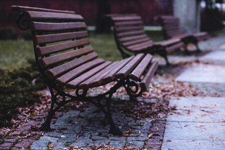 Benches in the park