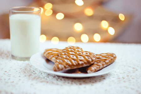 Gingerbread cookies and milk 2 photo