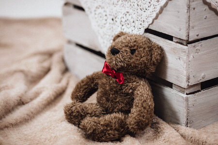 Teddy with red bow tie photo