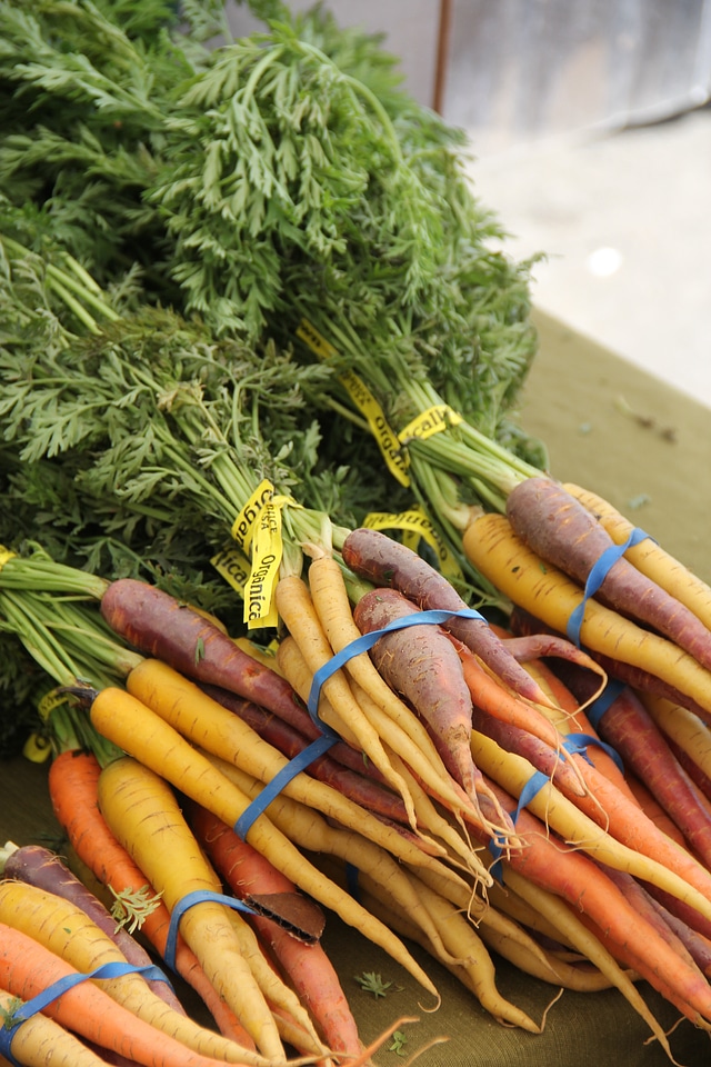 Root food ripe