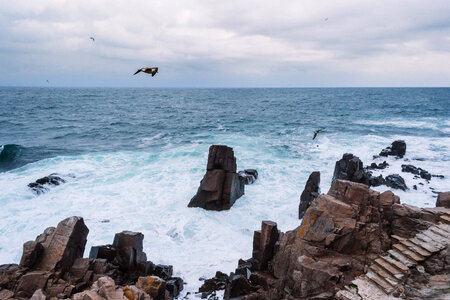 Rocks on the seashore photo