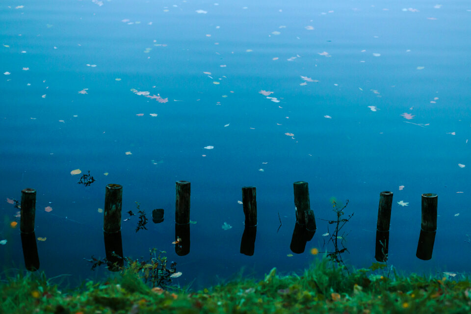 Wood breakwaters