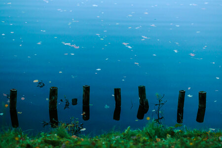 Wood breakwaters