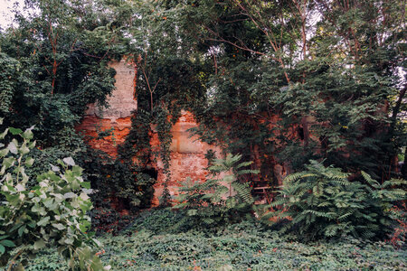 Abandoned ruined house photo