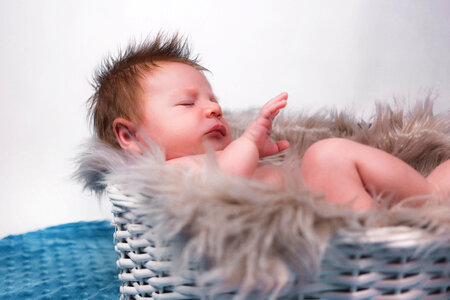 Baby in a basket photo