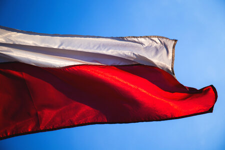 Polish flag 2 photo