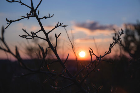 Spring sunset photo